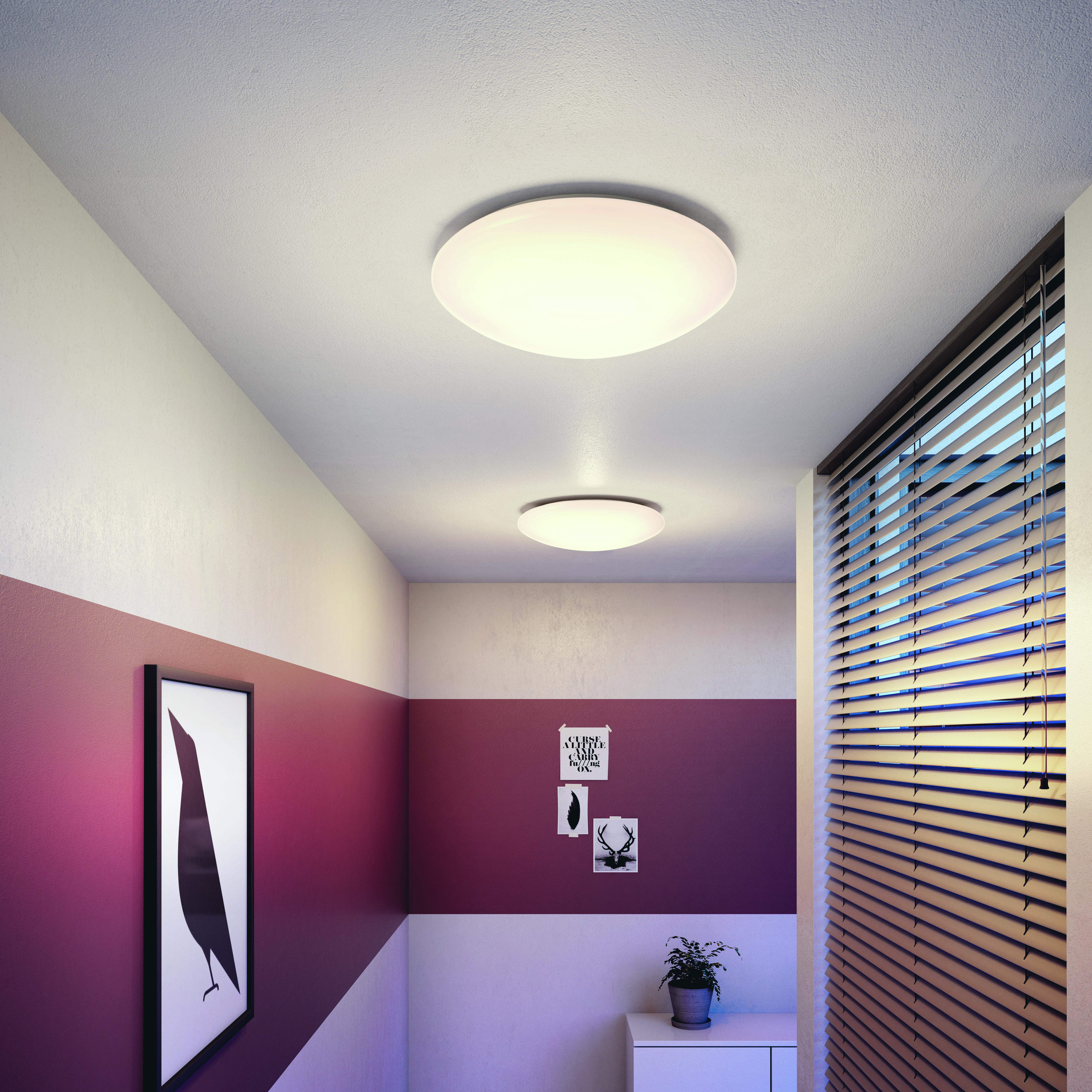 kupaonska plafonjera